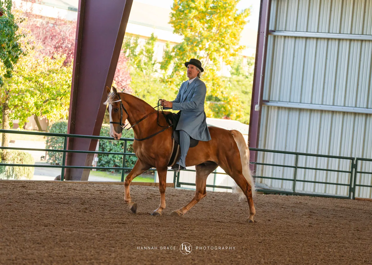 2025 NCWHA Oktoberfest Horse Show