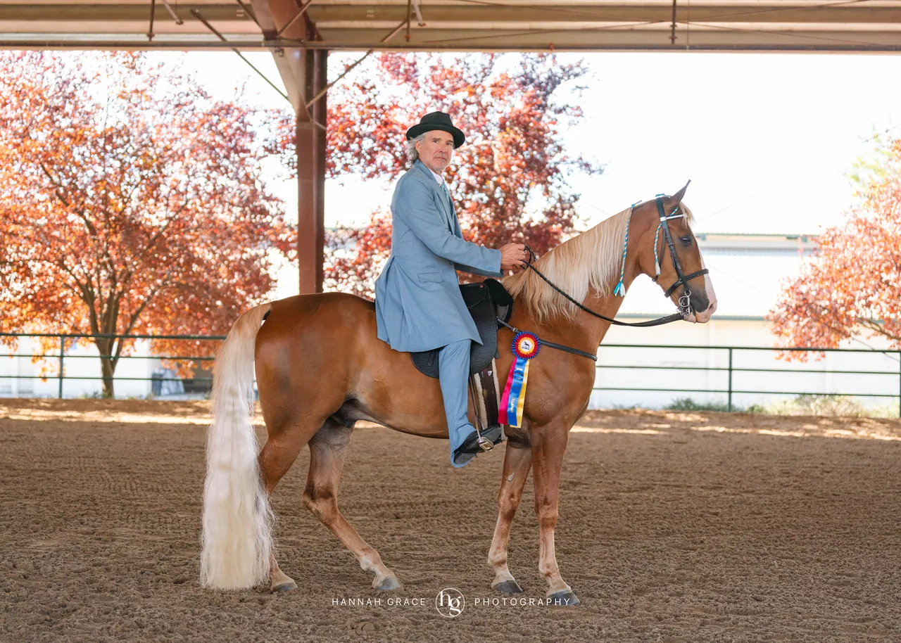 2025 NCWHA Oktoberfest Horse Show