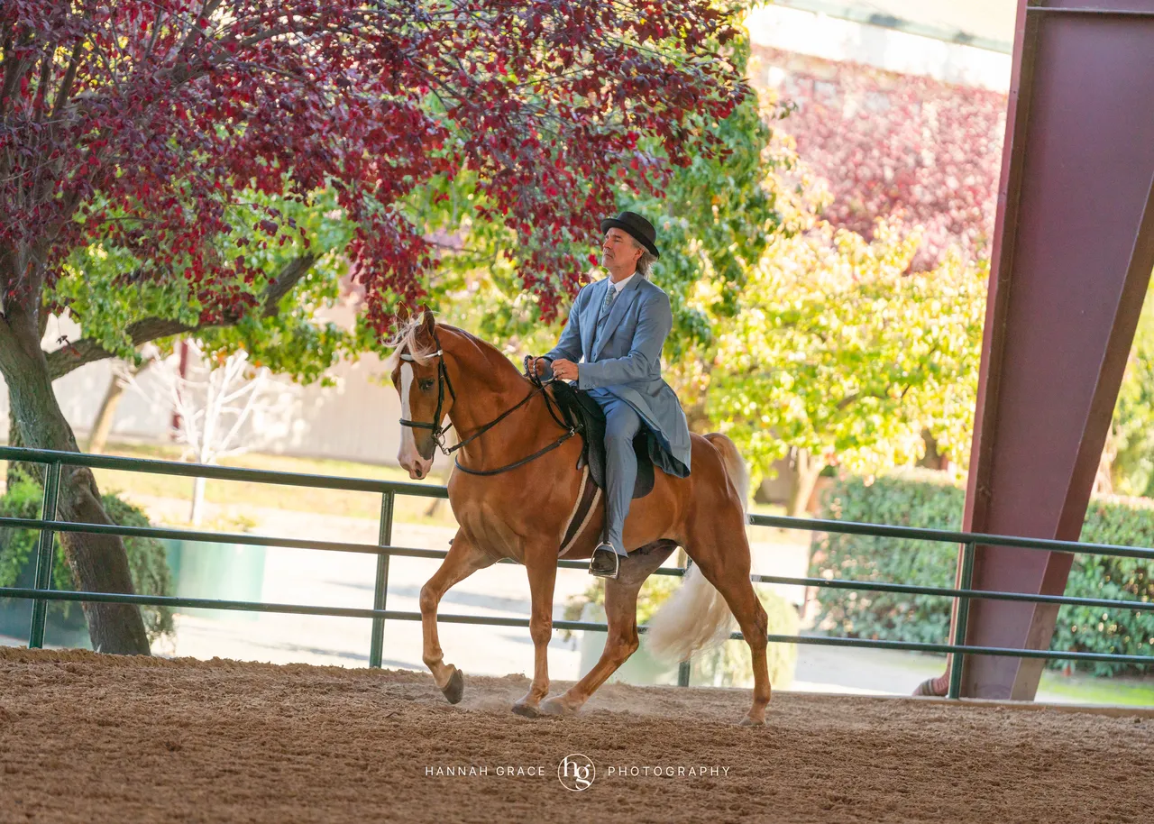 2025 NCWHA Oktoberfest Horse Show