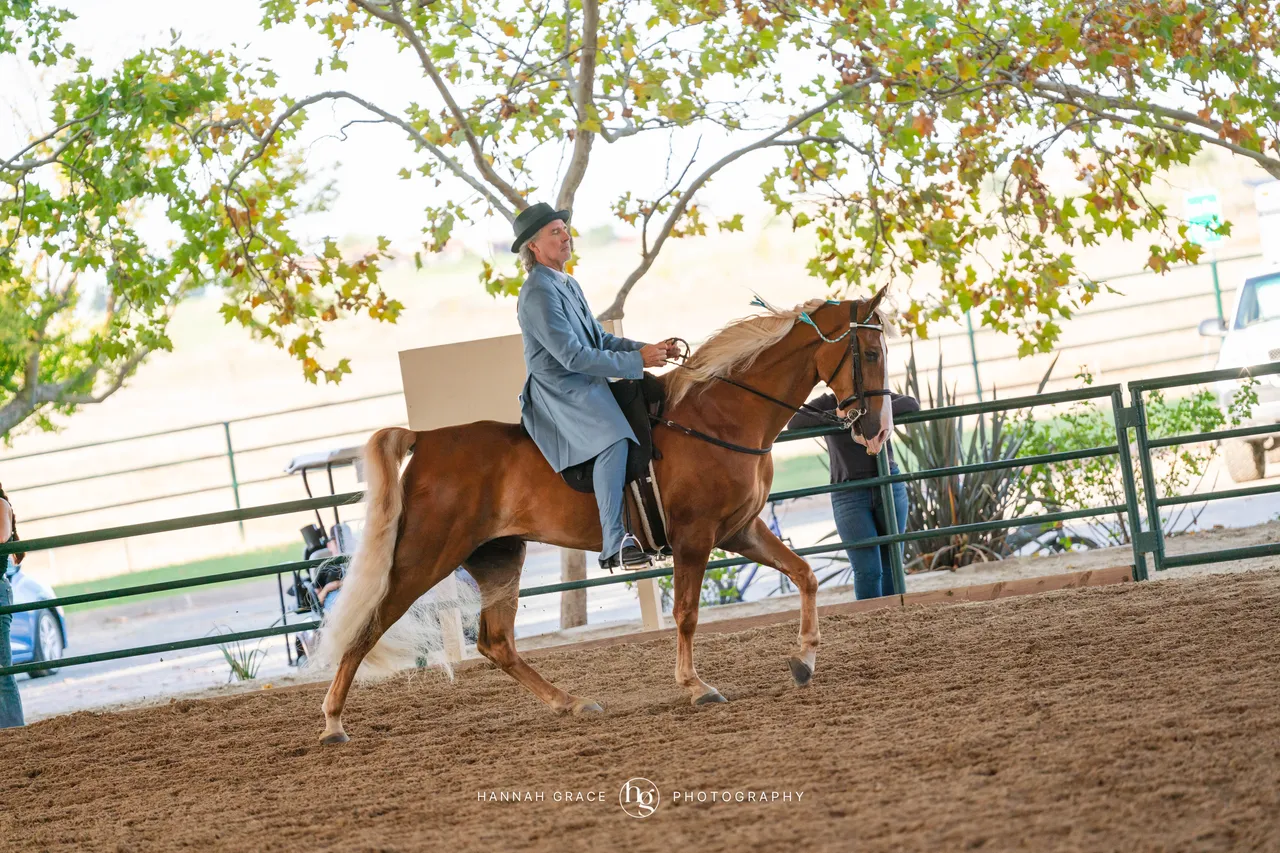 2025 NCWHA Oktoberfest Horse Show