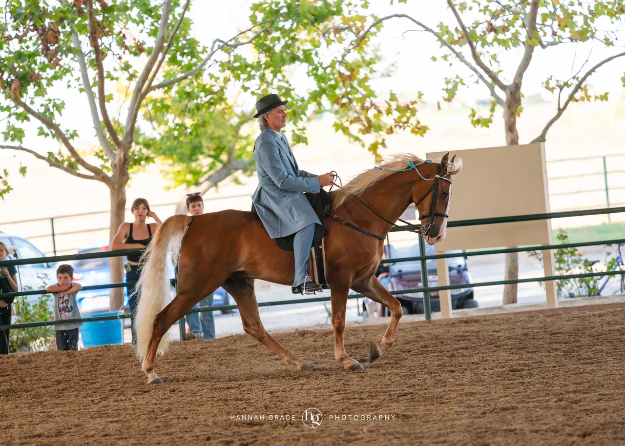 2025 NCWHA Oktoberfest Horse Show