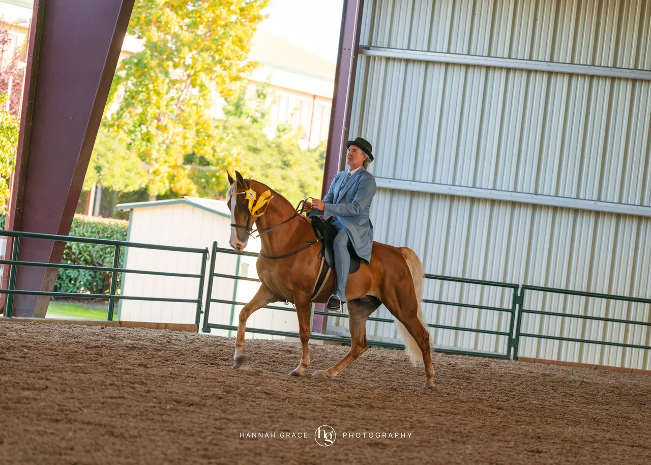 2025 NCWHA Oktoberfest Horse Show