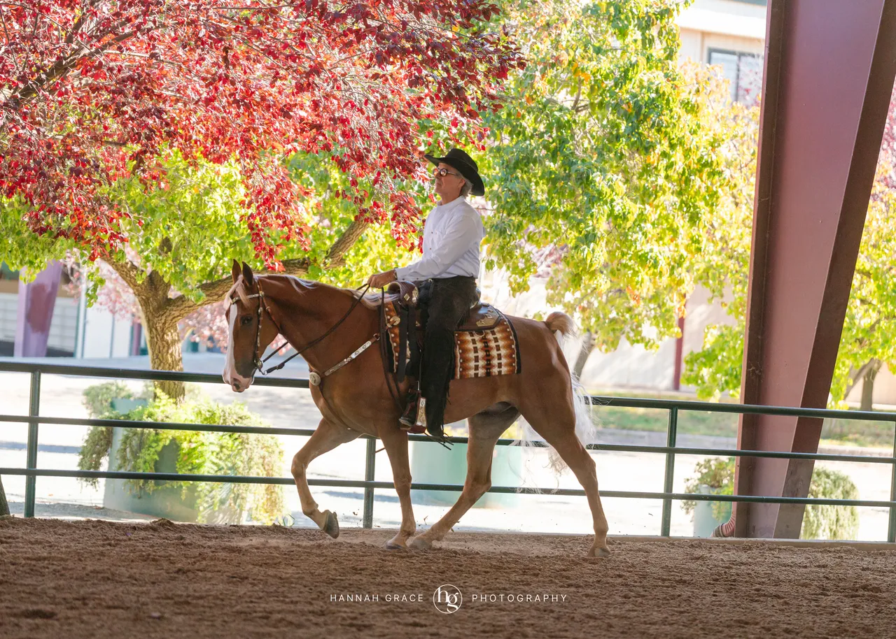 2025 NCWHA Oktoberfest Horse Show
