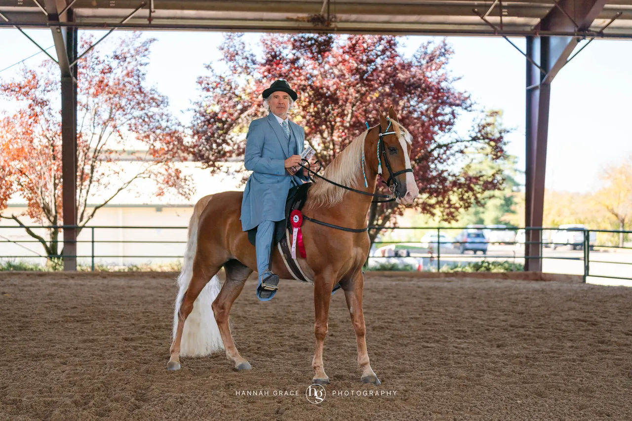 2025 NCWHA Oktoberfest Horse Show