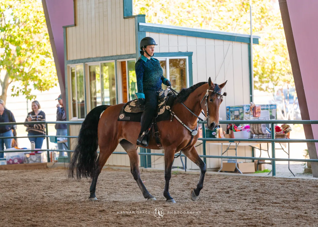 2025 NCWHA Oktoberfest Horse Show