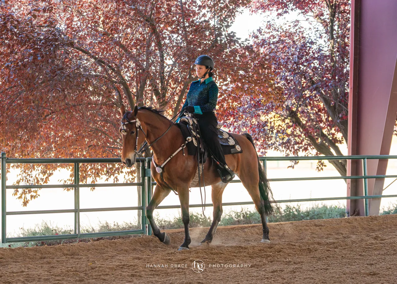 2025 NCWHA Oktoberfest Horse Show