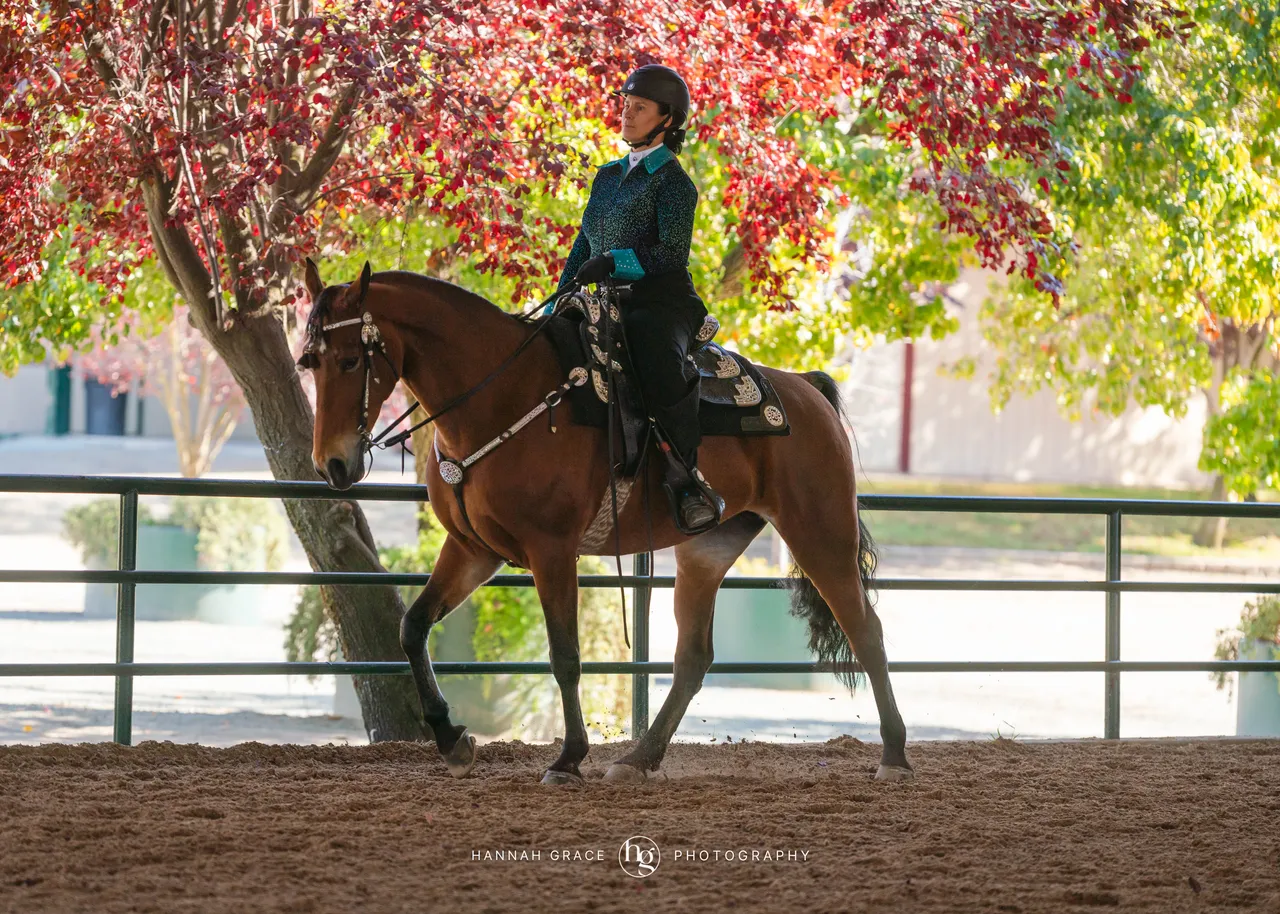 2025 NCWHA Oktoberfest Horse Show
