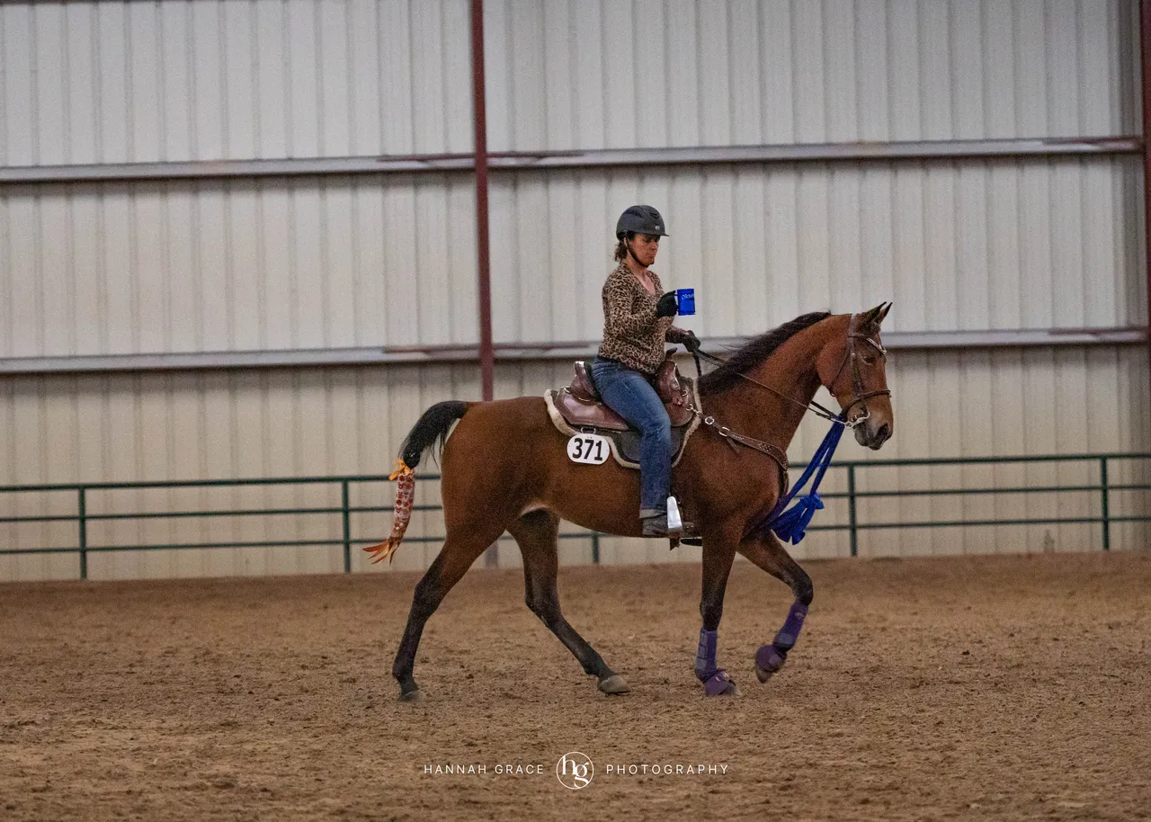 2025 NCWHA Oktoberfest Horse Show