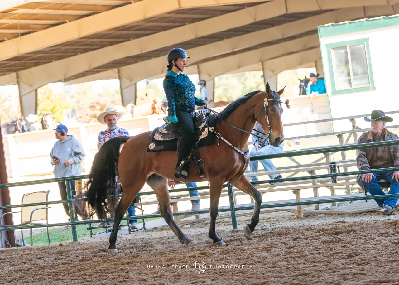 2025 NCWHA Oktoberfest Horse Show