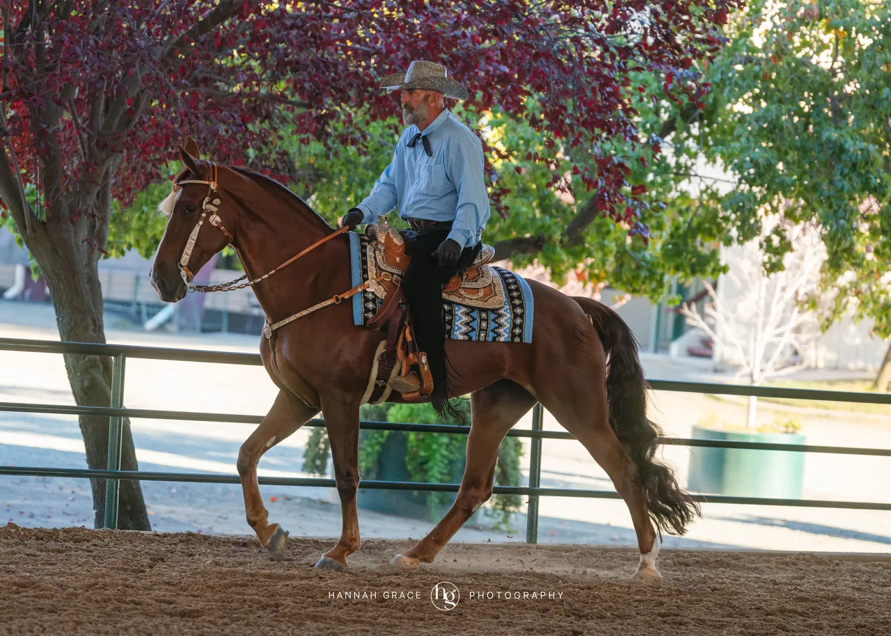 2025 NCWHA Oktoberfest Horse Show