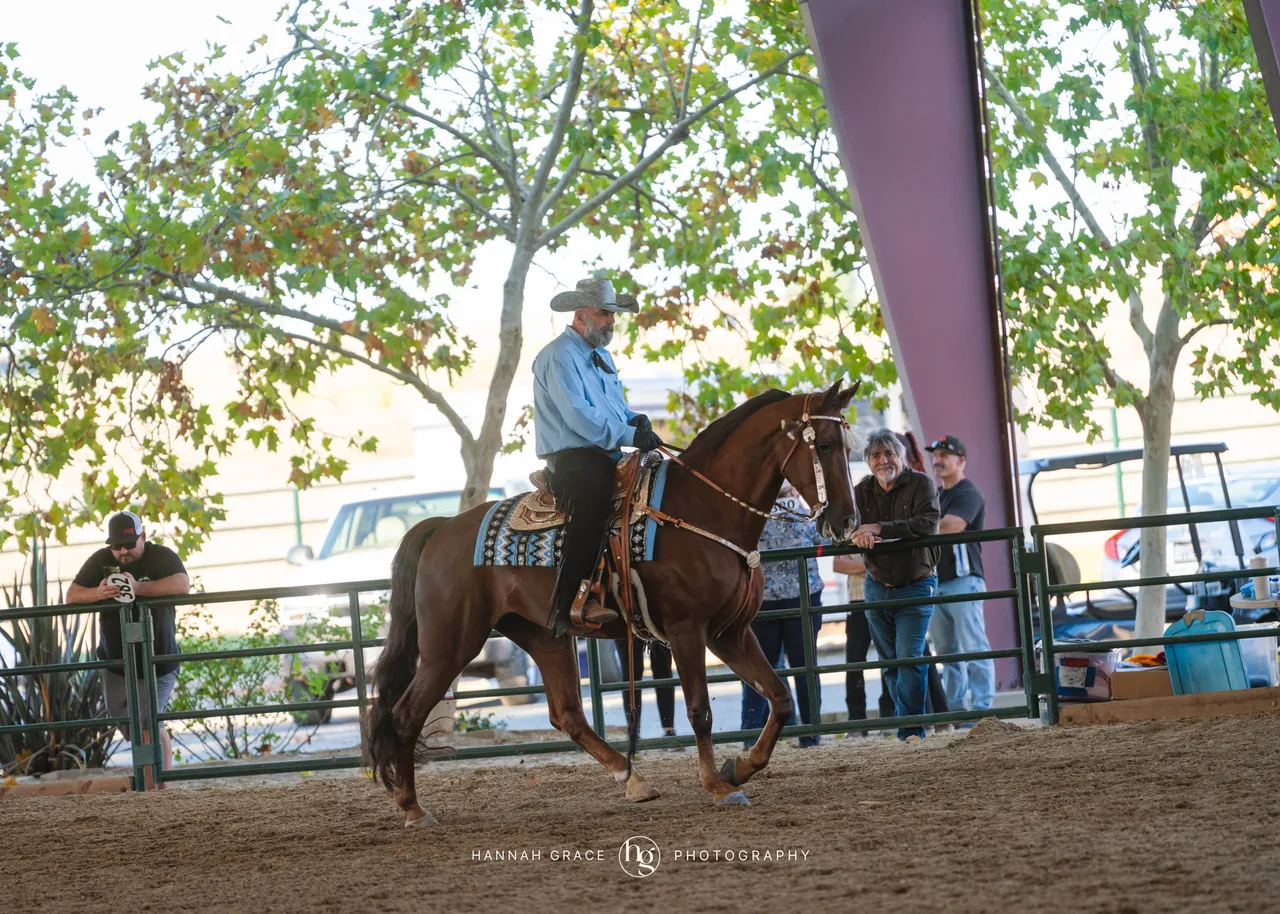 2025 NCWHA Oktoberfest Horse Show
