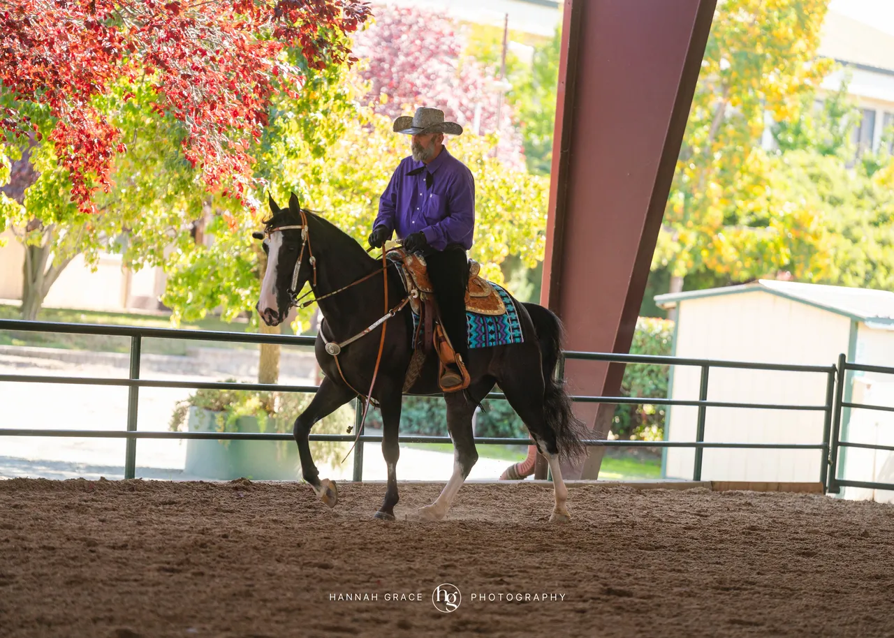 2025 NCWHA Oktoberfest Horse Show