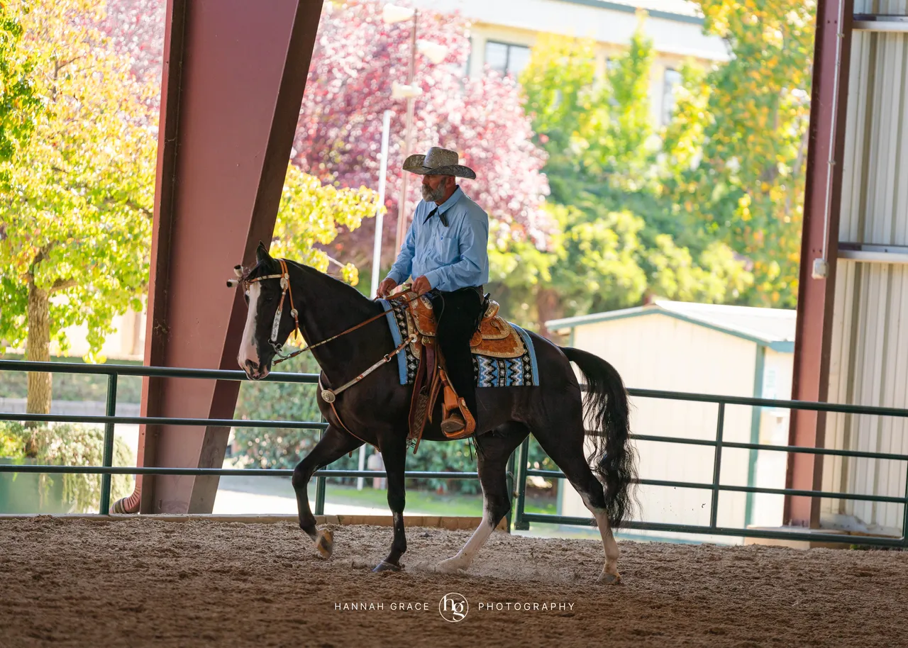 2025 NCWHA Oktoberfest Horse Show