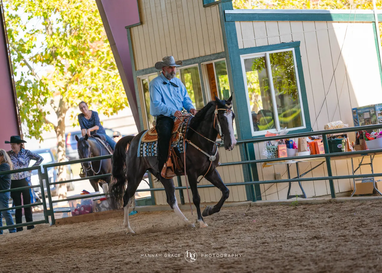 2025 NCWHA Oktoberfest Horse Show