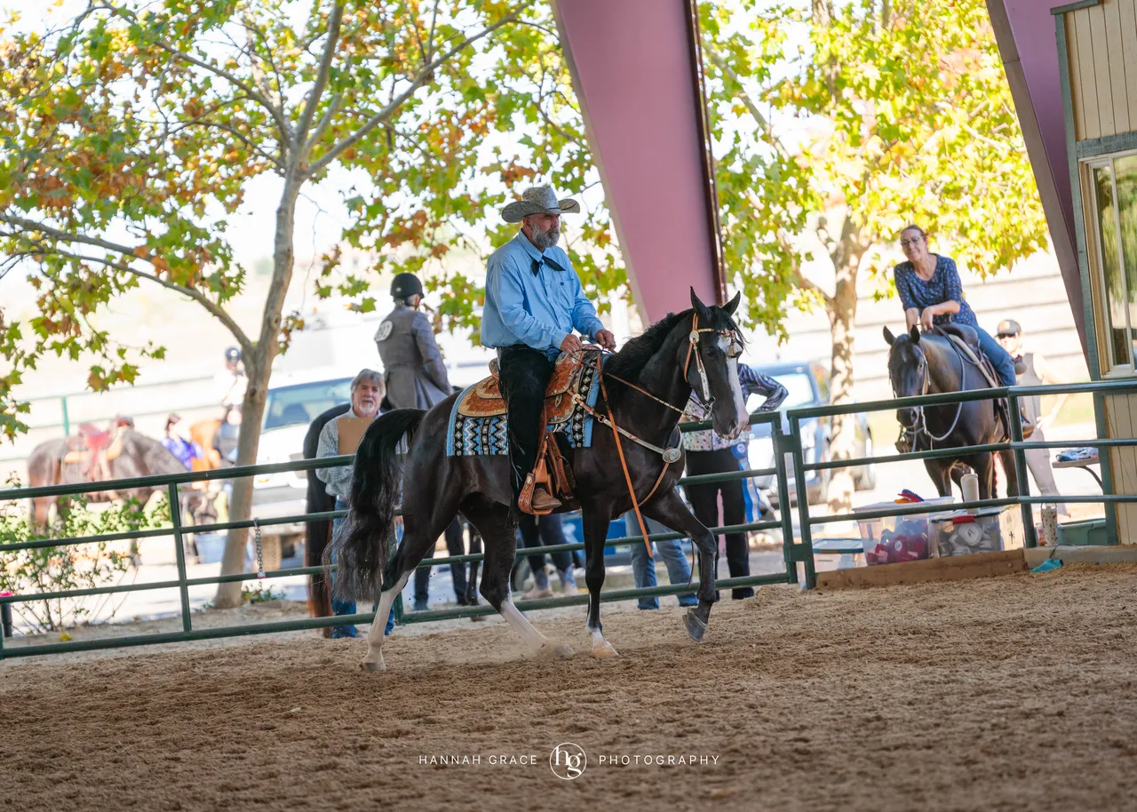 2025 NCWHA Oktoberfest Horse Show