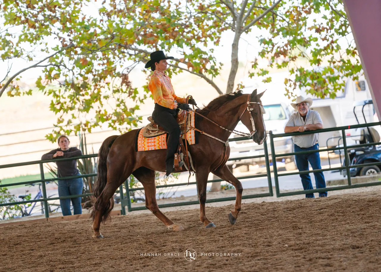 2025 NCWHA Oktoberfest Horse Show