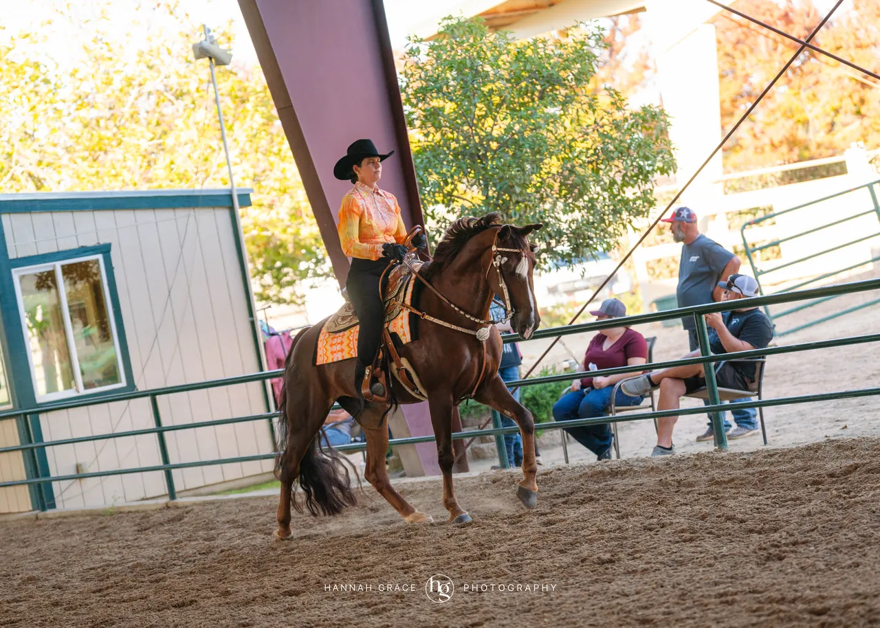 2025 NCWHA Oktoberfest Horse Show