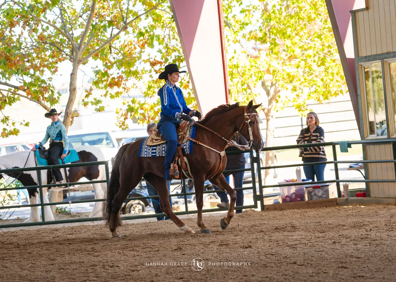 2025 NCWHA Oktoberfest Horse Show