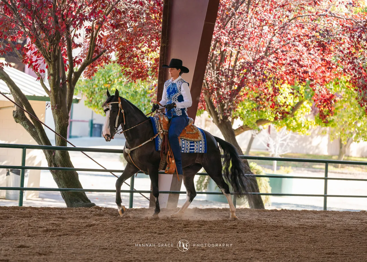 2025 NCWHA Oktoberfest Horse Show