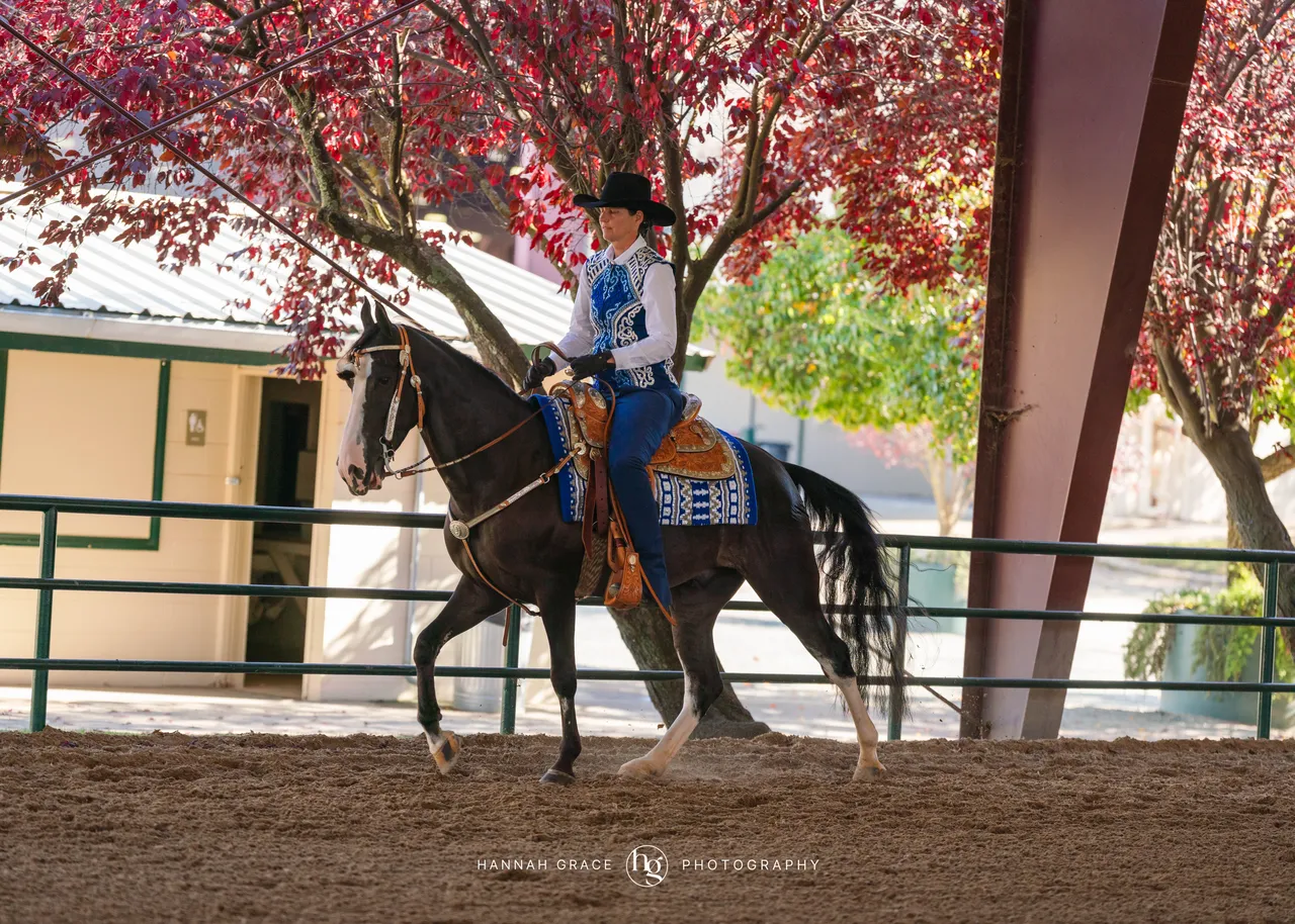 2025 NCWHA Oktoberfest Horse Show