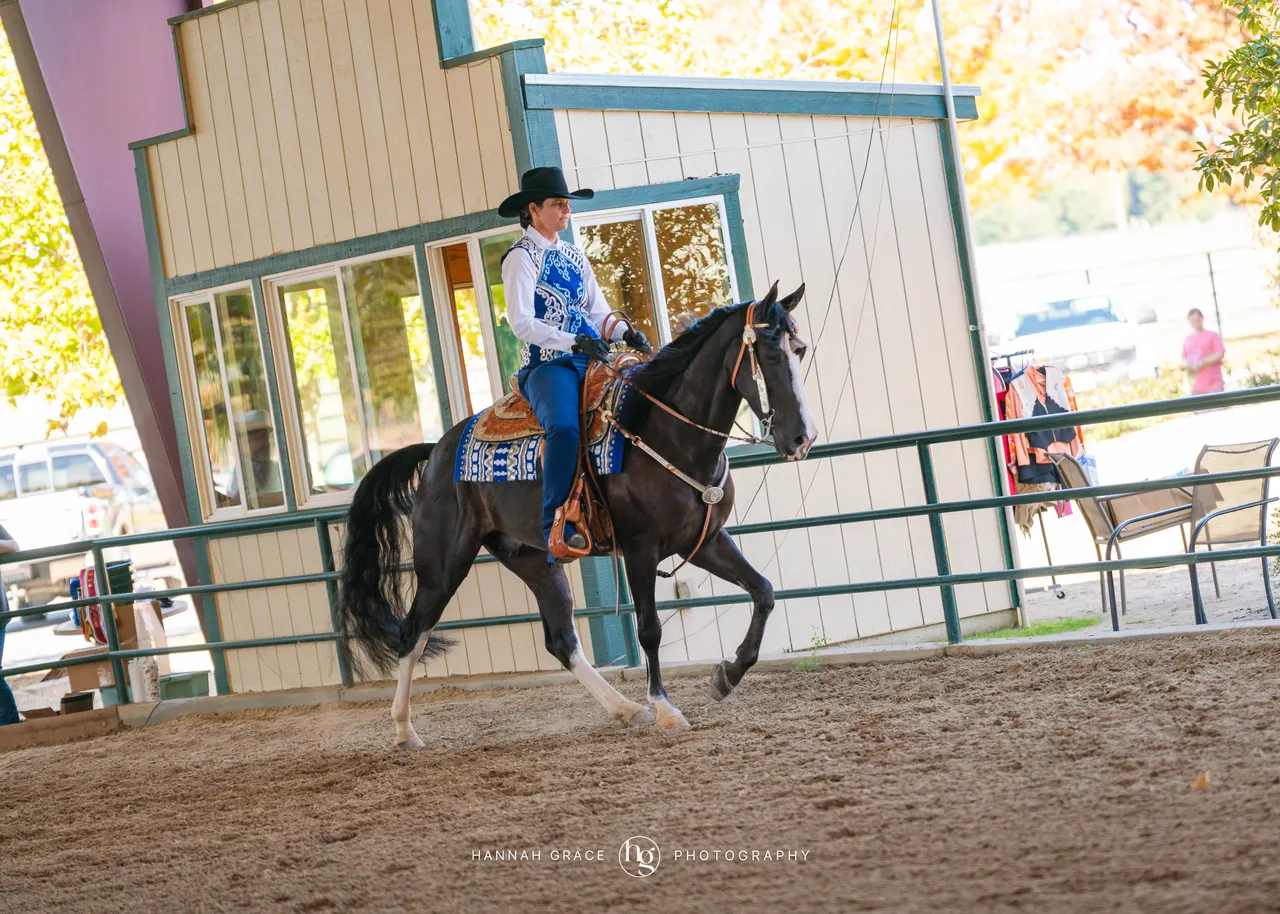 2025 NCWHA Oktoberfest Horse Show