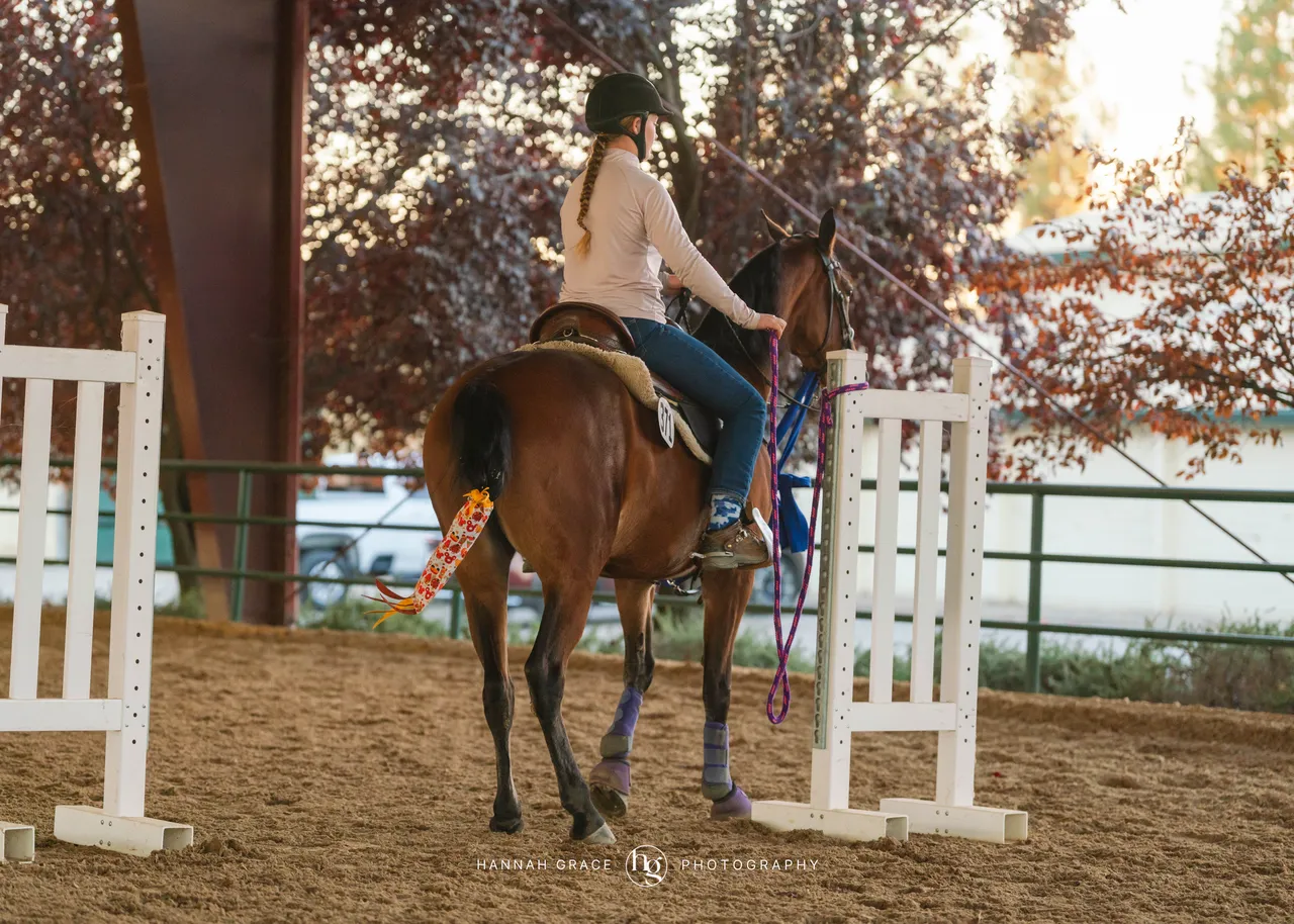2025 NCWHA Oktoberfest Horse Show