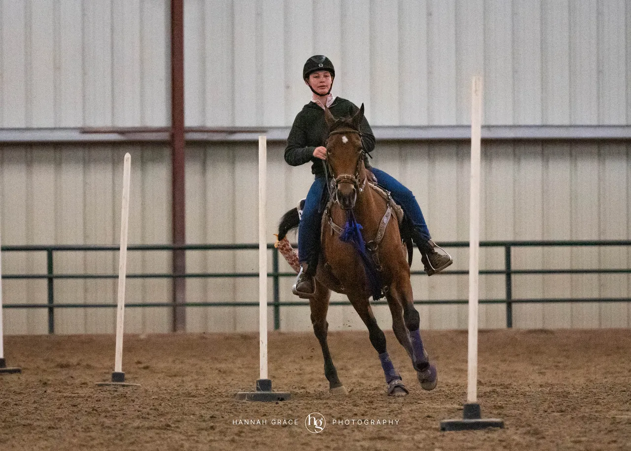 2025 NCWHA Oktoberfest Horse Show
