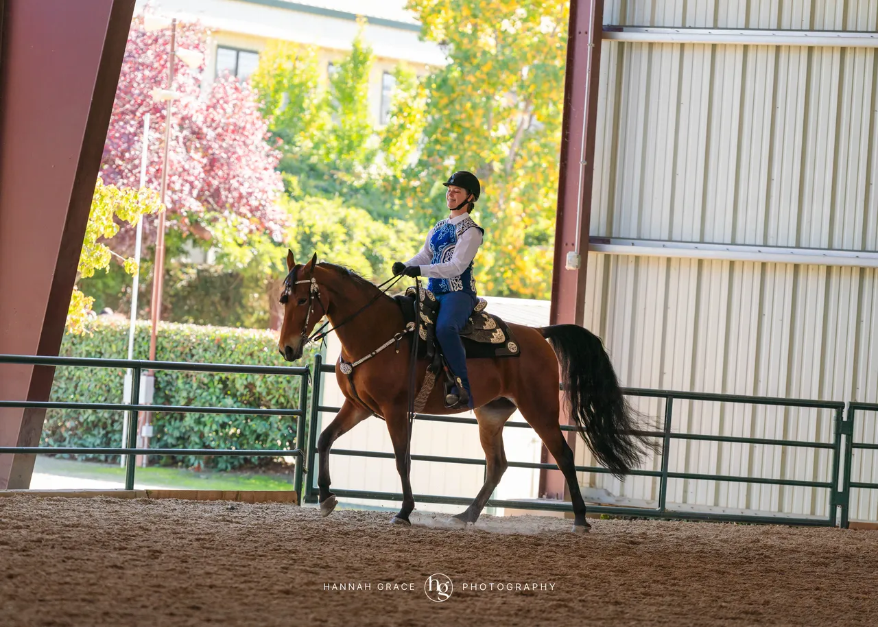 2025 NCWHA Oktoberfest Horse Show