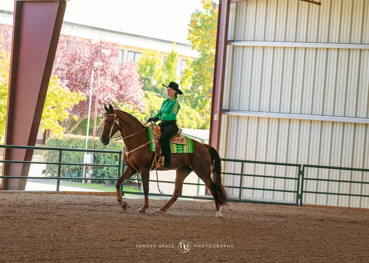 2025 NCWHA Oktoberfest Horse Show