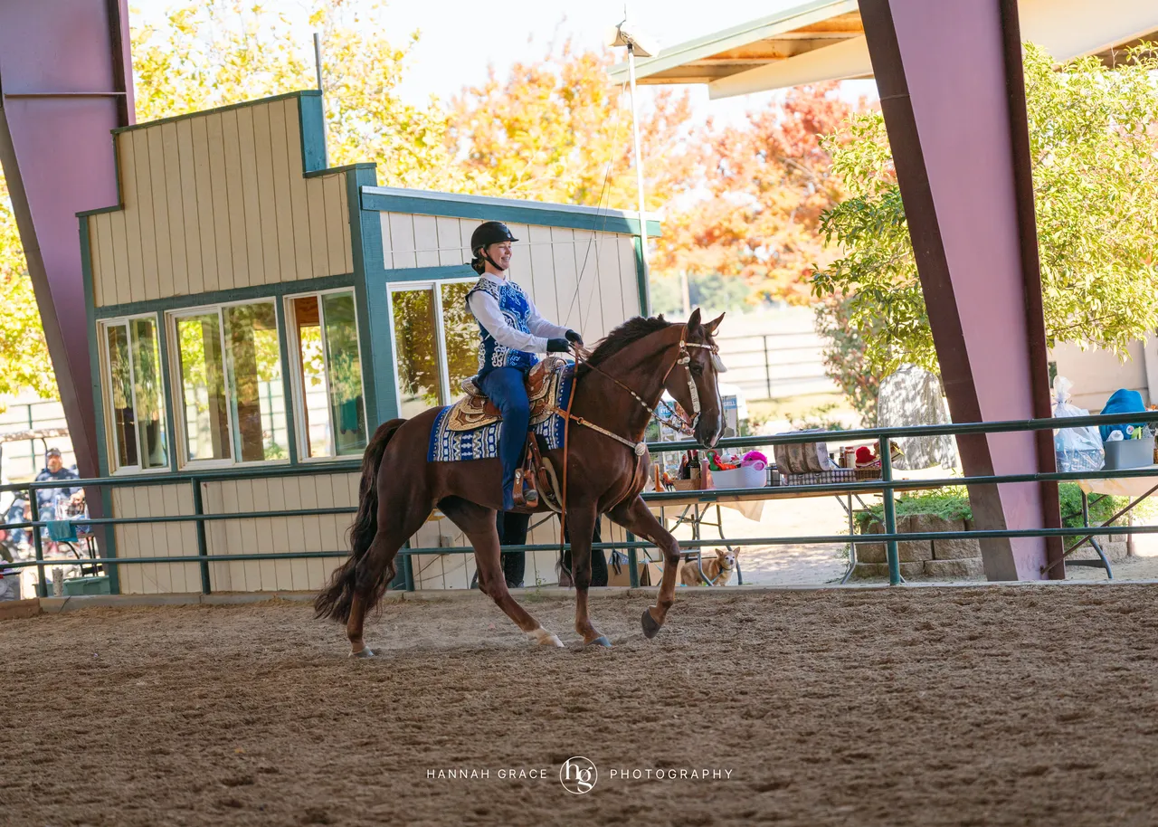 2025 NCWHA Oktoberfest Horse Show