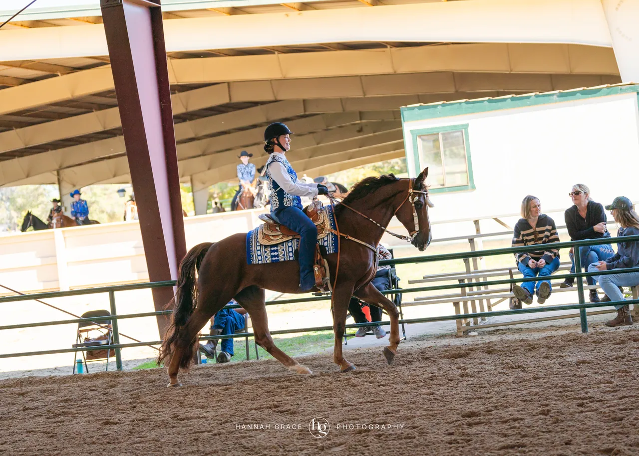 2025 NCWHA Oktoberfest Horse Show