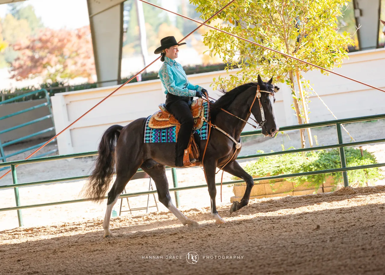 2025 NCWHA Oktoberfest Horse Show