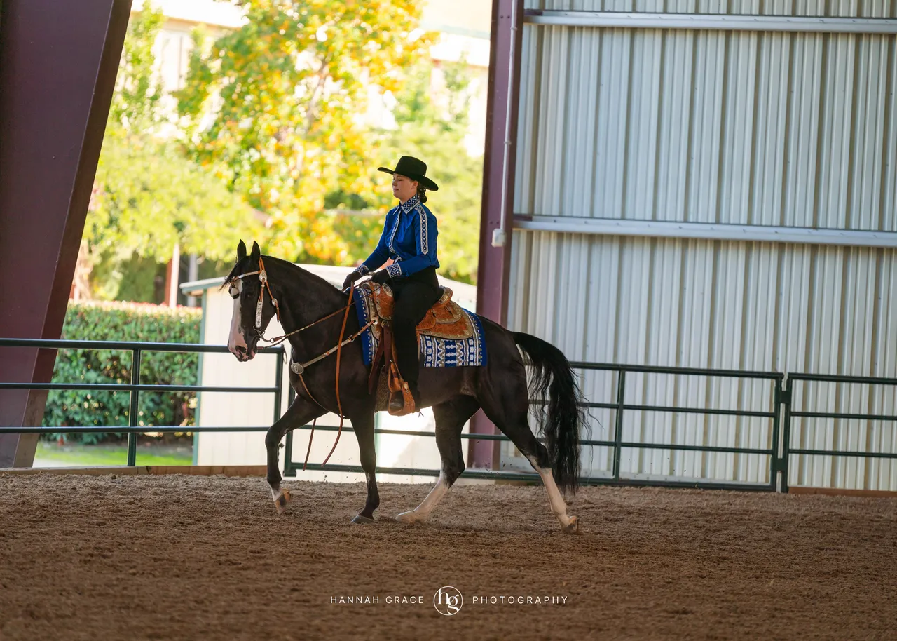 2025 NCWHA Oktoberfest Horse Show