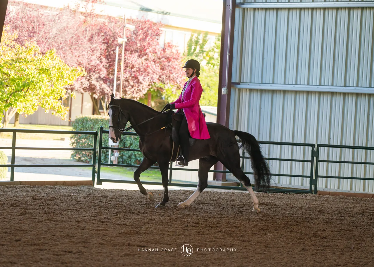 2025 NCWHA Oktoberfest Horse Show