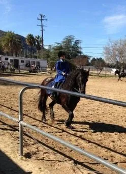 E.T.I. Corral 38 - February 3, 2013