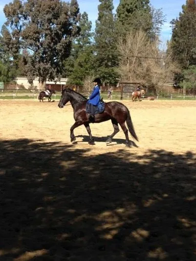 E.T.I. Corral 38 - February 3, 2013