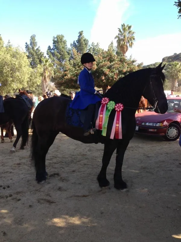 E.T.I. Corral 38 - February 3, 2013