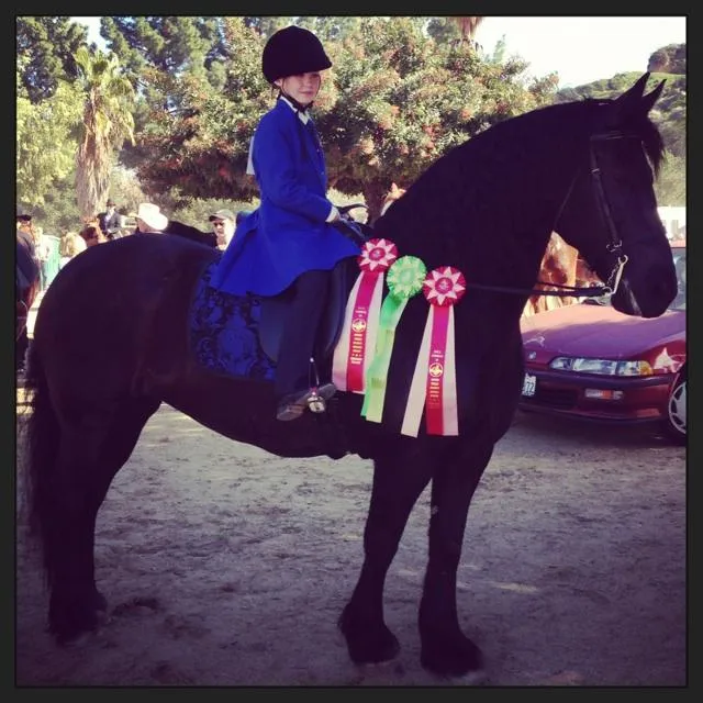 E.T.I. Corral 38 - February 3, 2013