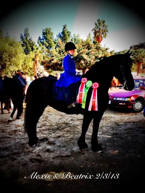 E.T.I. Corral 38 - February 3, 2013