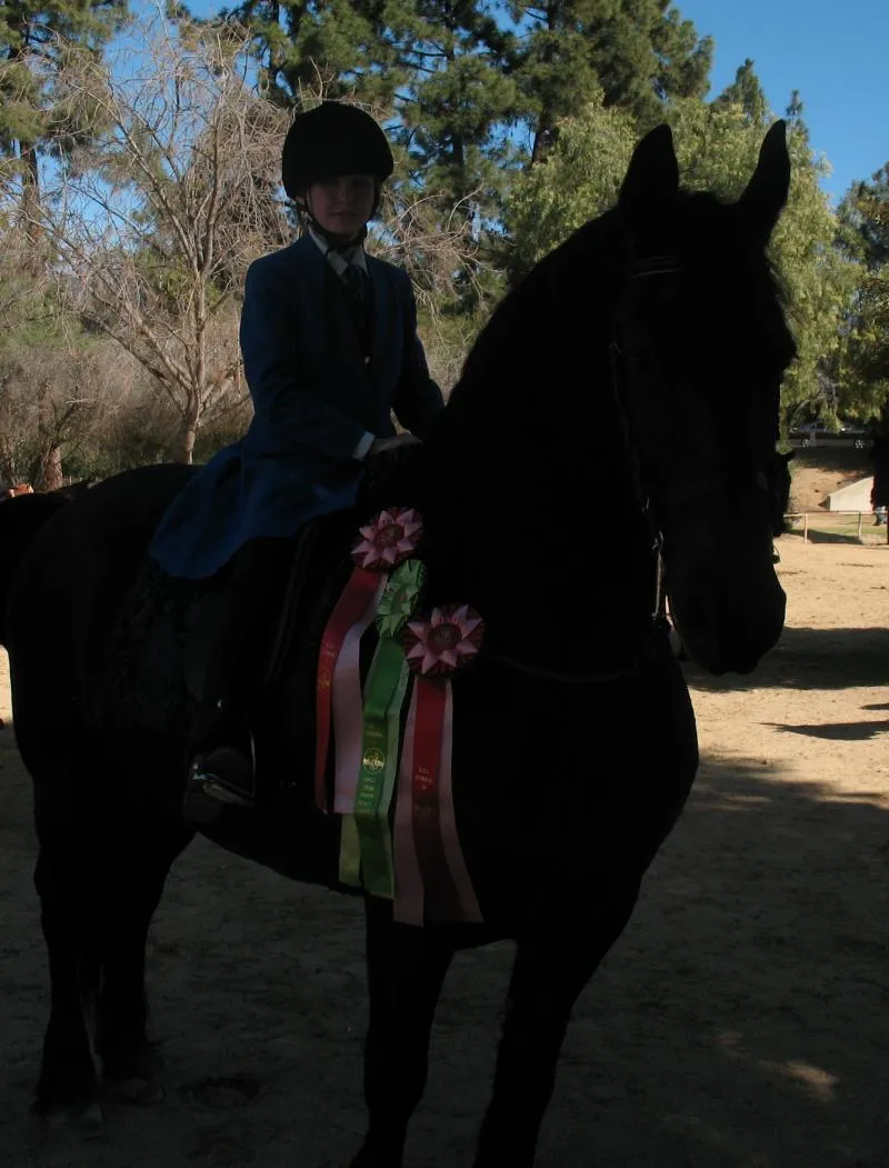 E.T.I. Corral 38 - February 3, 2013