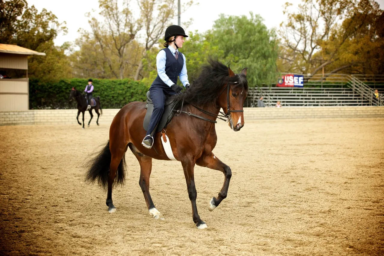 February 2015 Saddle Seat & Western League