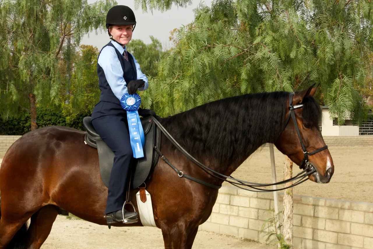 February 2015 Saddle Seat & Western League