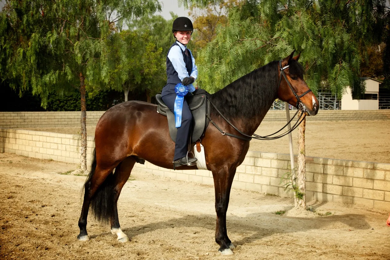February 2015 Saddle Seat & Western League