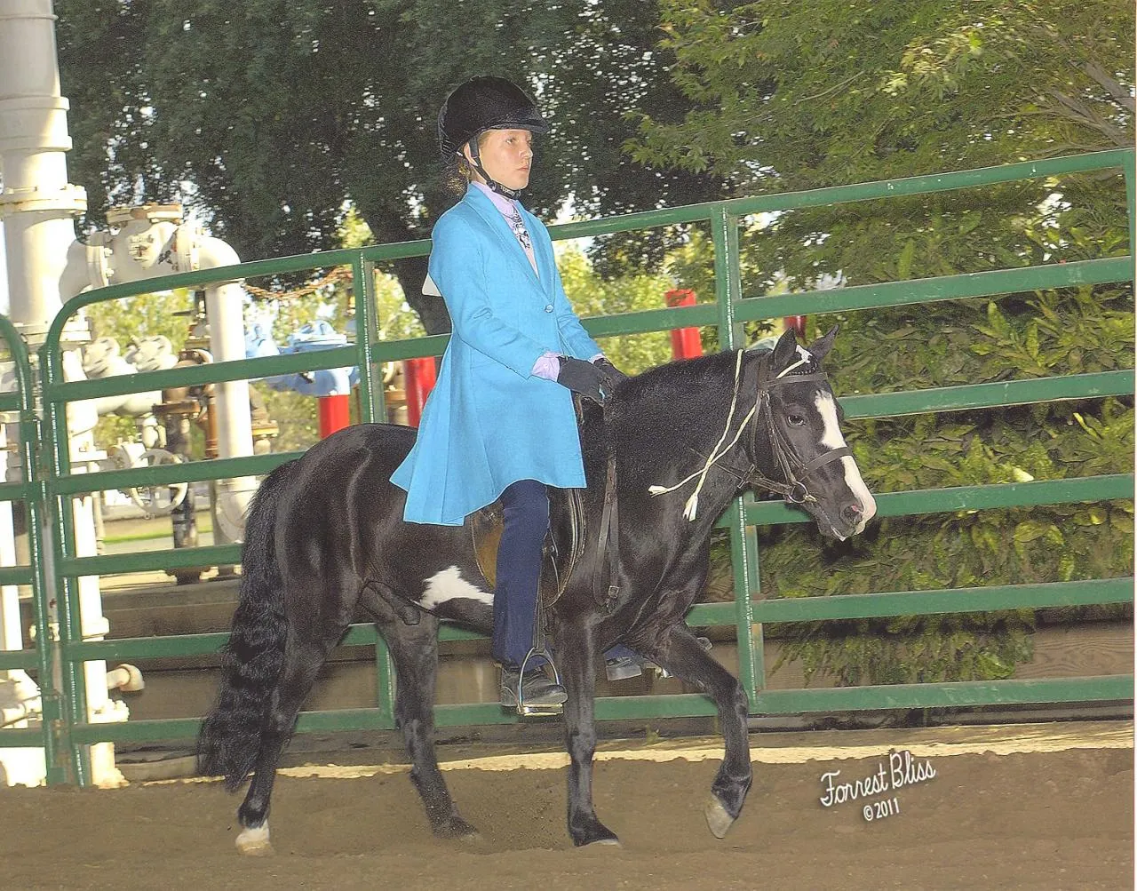 NCWHA Oktoberfest 2011