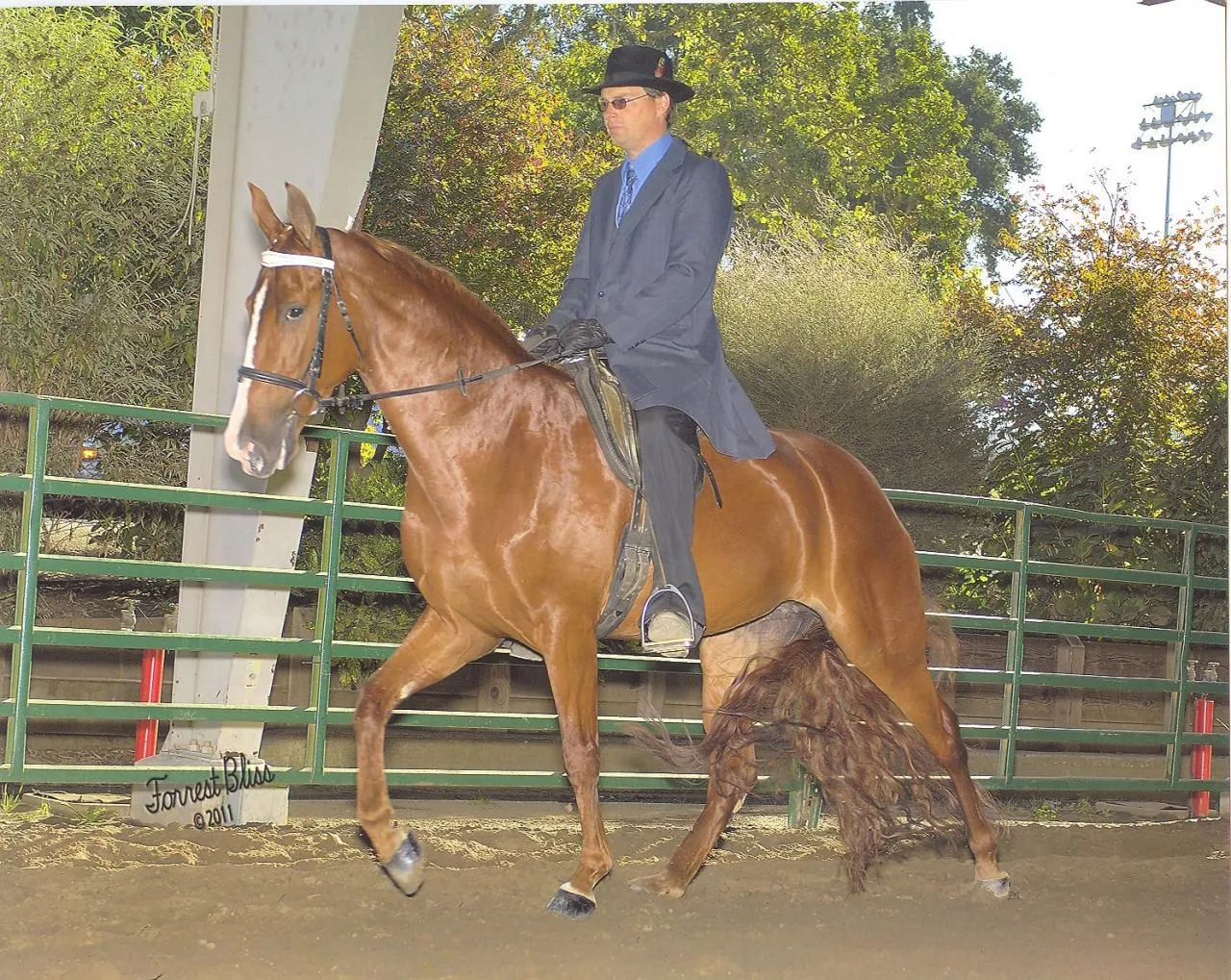 NCWHA Oktoberfest 2011