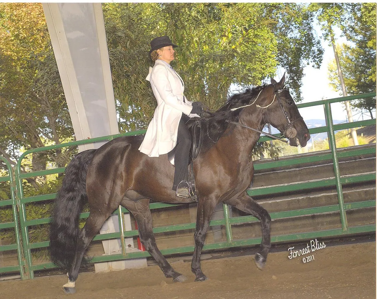 NCWHA Oktoberfest 2011