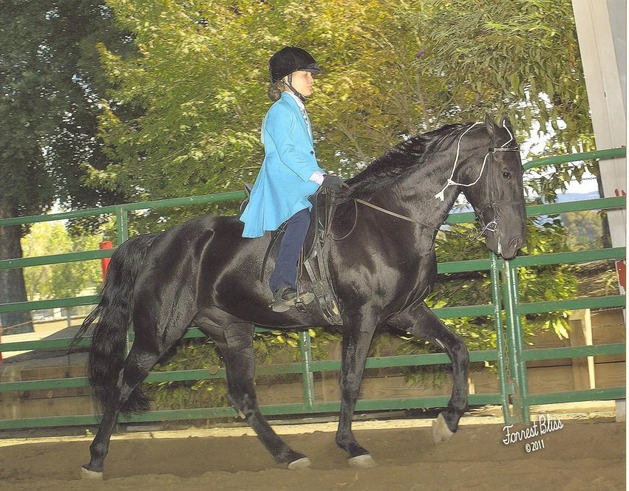 NCWHA Oktoberfest 2011