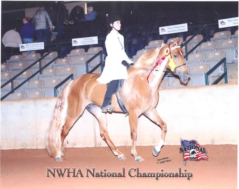 NWHA Nationals 2011