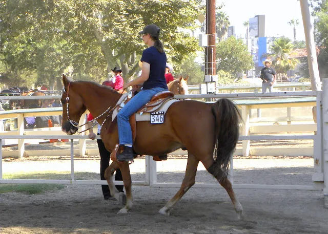 PWHA American Spirit - September 9, 2012