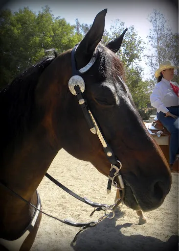 PWHA American Spirit - September 9, 2012